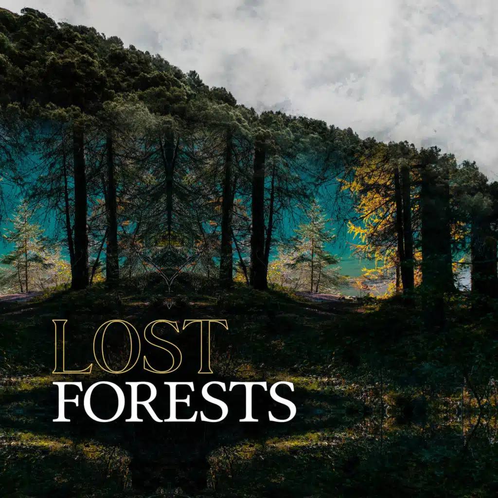 Lost Forests