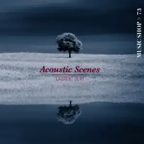 Acoustic Scenes