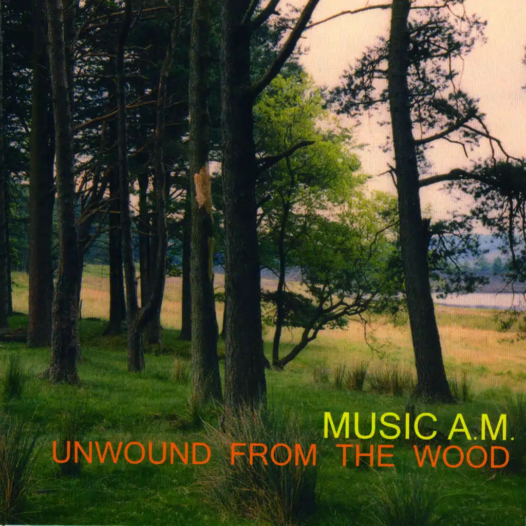 Unwound from the woods