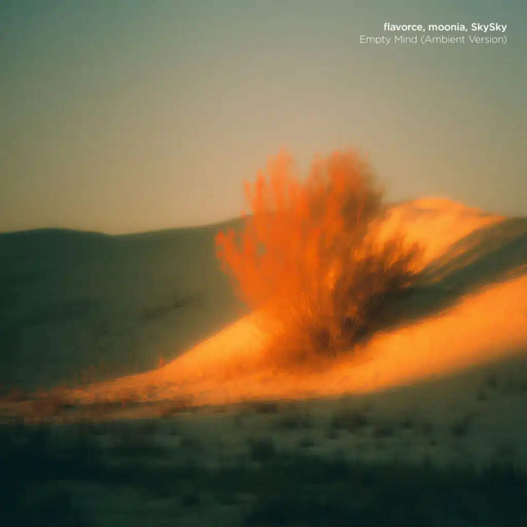 flavorce, moonia & SkySky