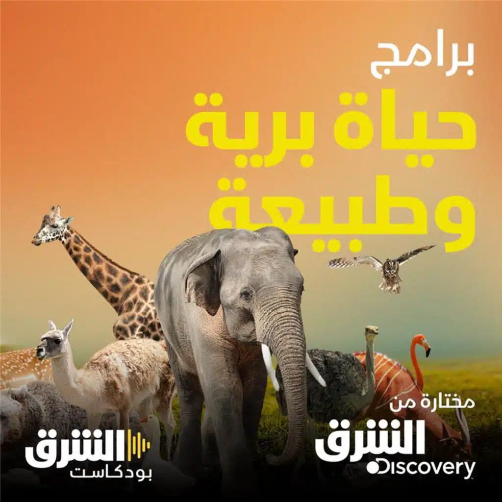 وثائقيات حياة البرية والطبيعة