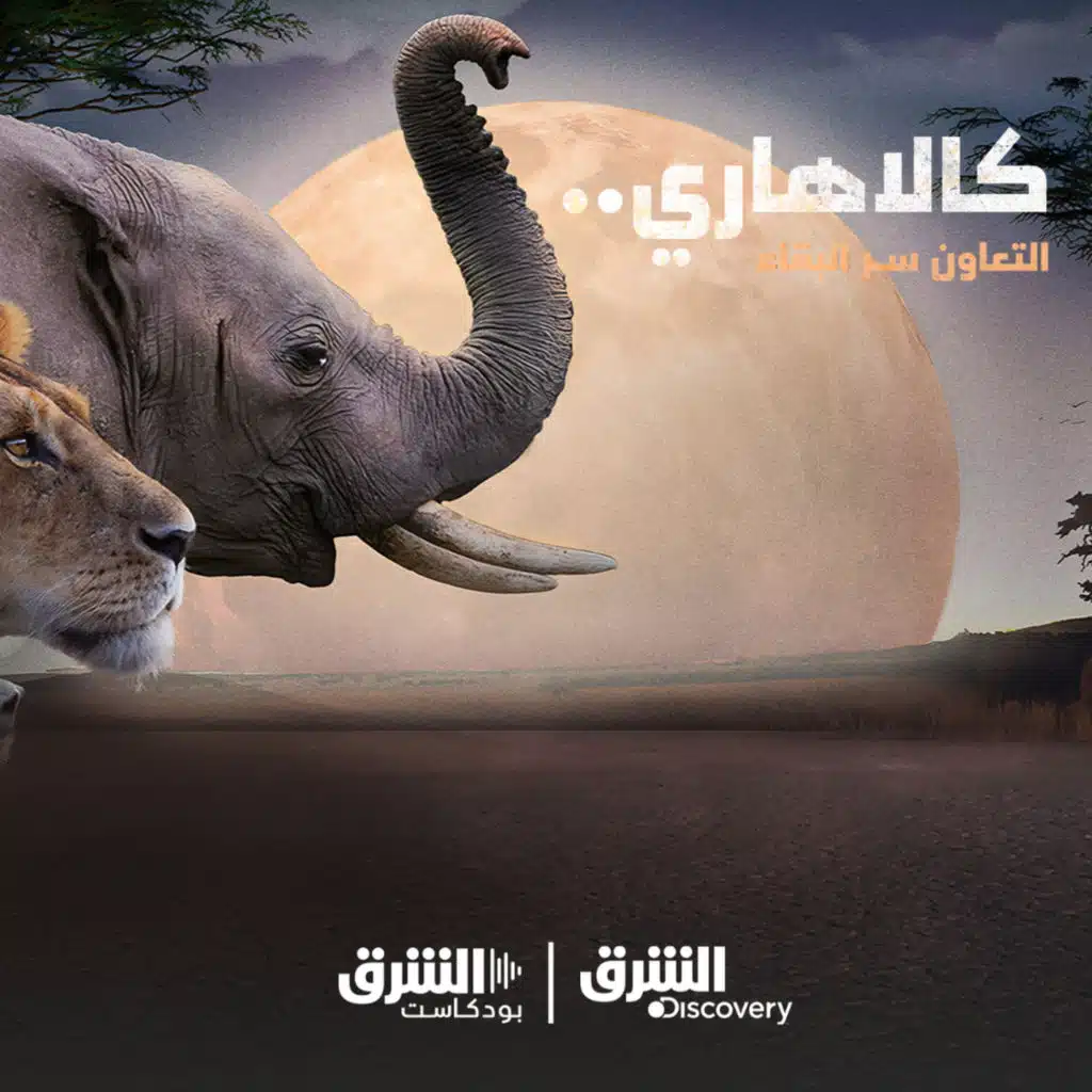 كالاهاري | شراكة غير متوقعة