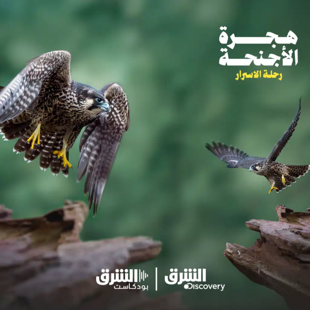 هجرة الأجنحة | رحلة الأسرار