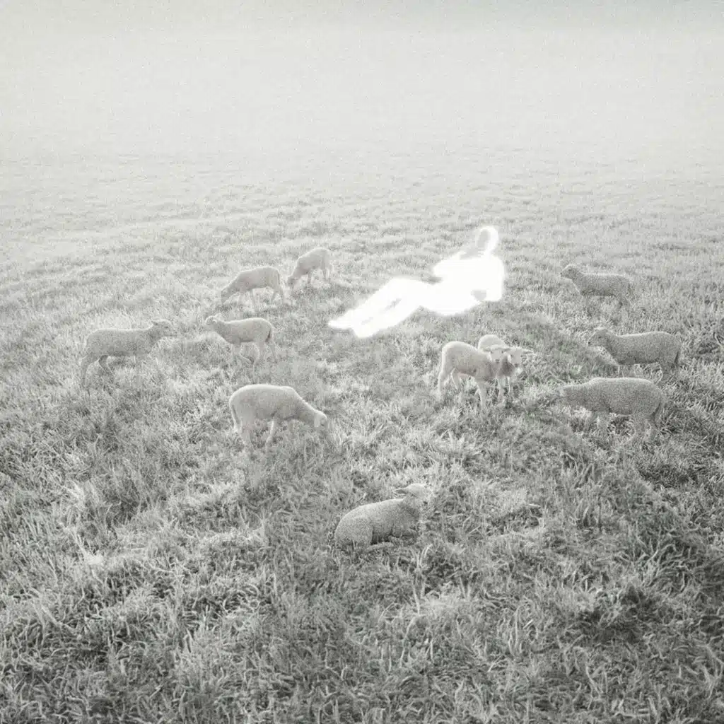 La Pureza De Lo Simple