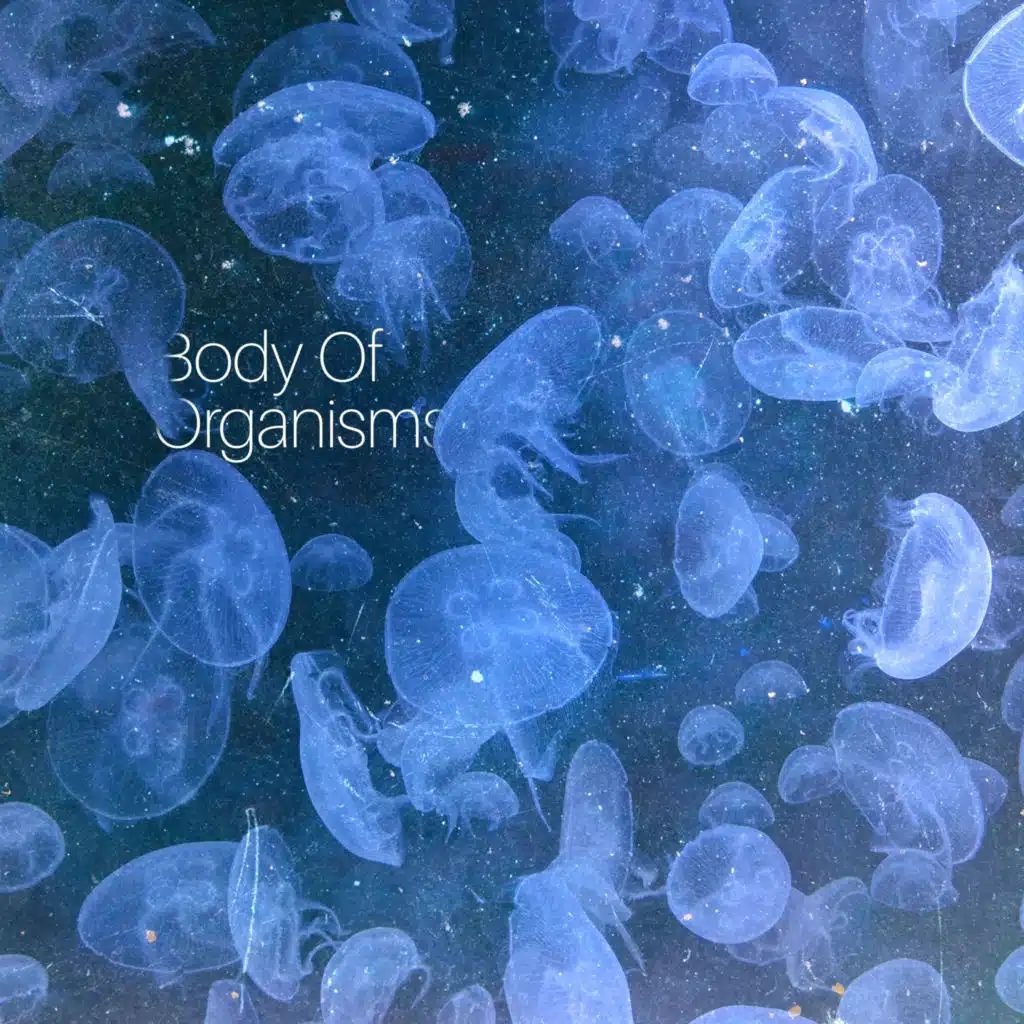 Body Of Organisms