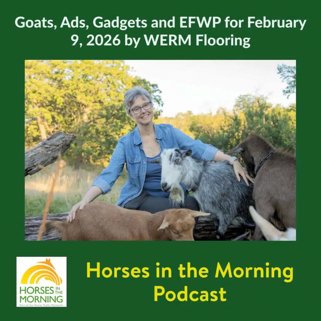 Goats, Ads, Gadgets and EFWP for February 9, 2026 by WERM Flooring