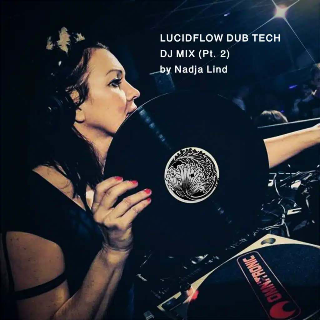 Lucidflow Dub Tech Dj Mix, Pt. 2 (Mixed)