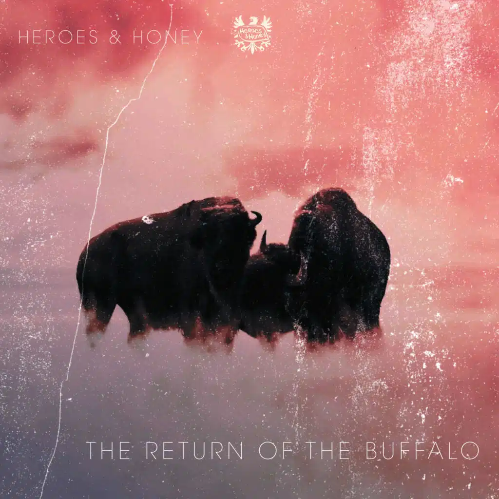 The Return of the Buffalo