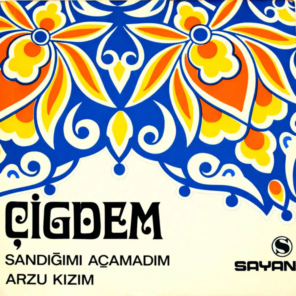 Sandığımı Açamadım