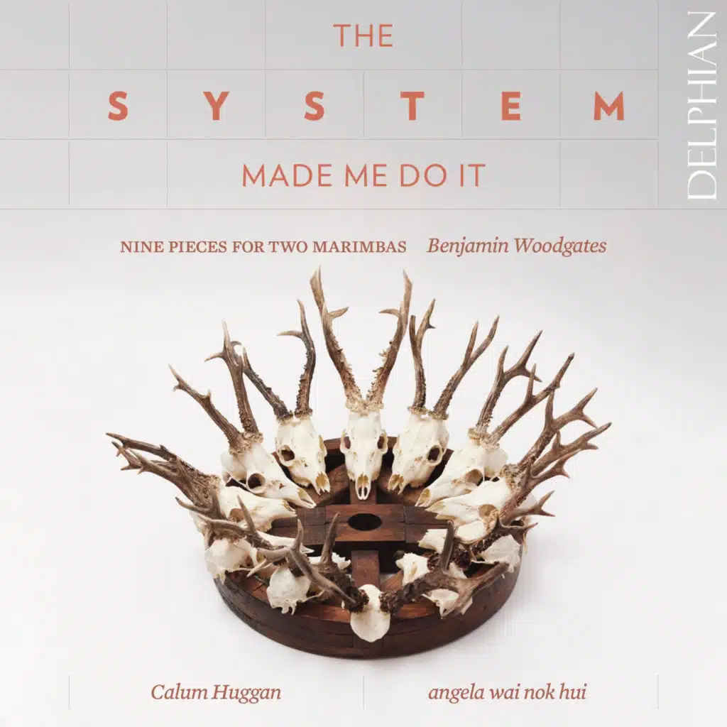 The System Made Me Do It