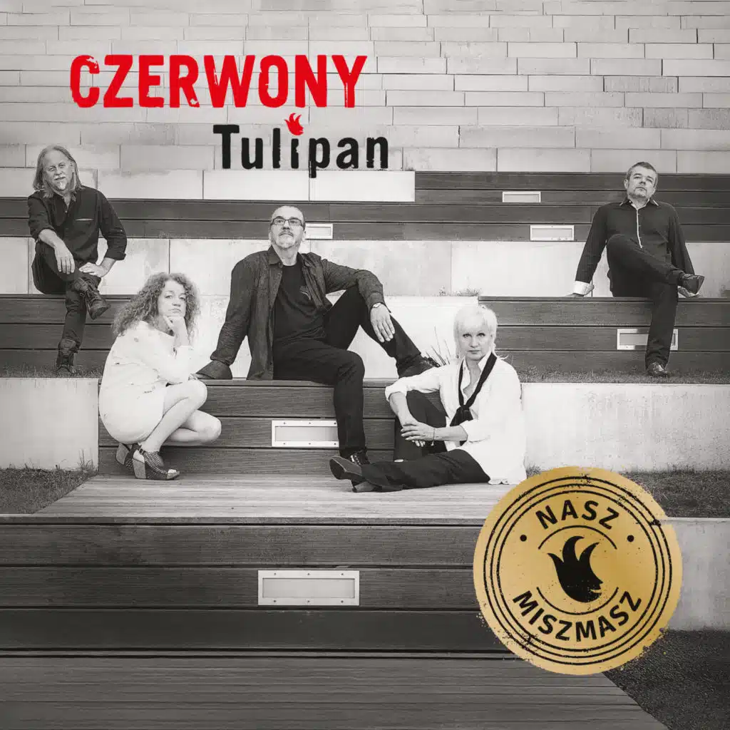 Czerwony Tulipan