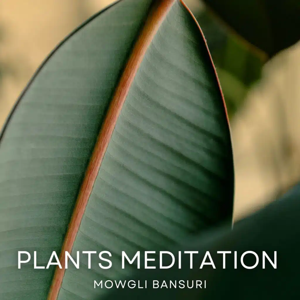 Mowgli Bansuri