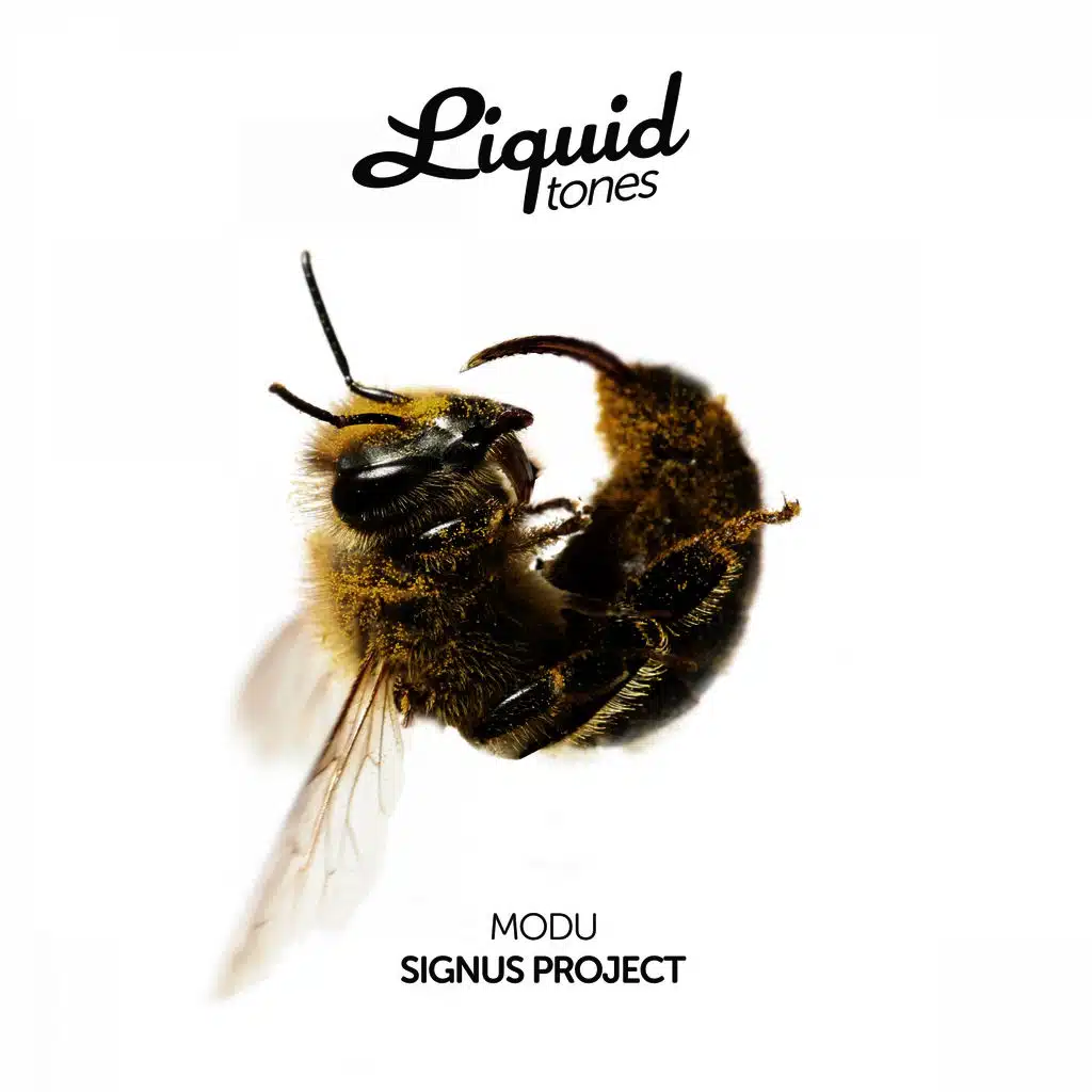 Signus Project