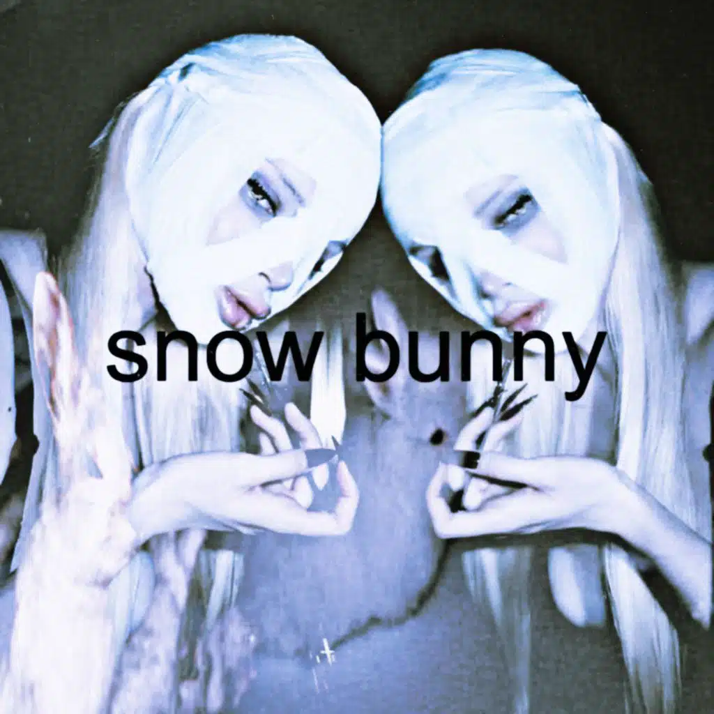 snow bunny
