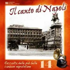 Il canto di Napoli, Vol. 14