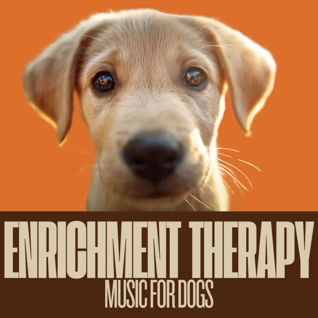 Enrichment Therapy Music for Dogs
