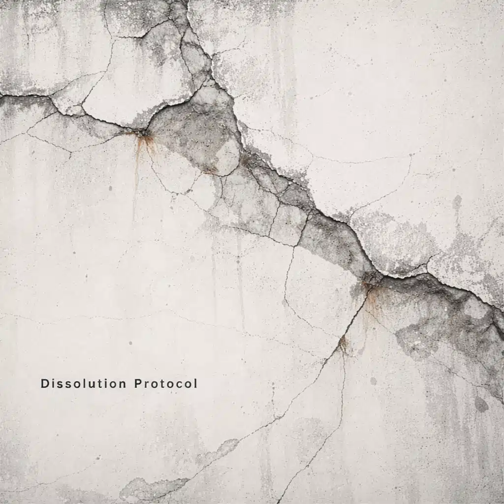 Dissolution Protocol