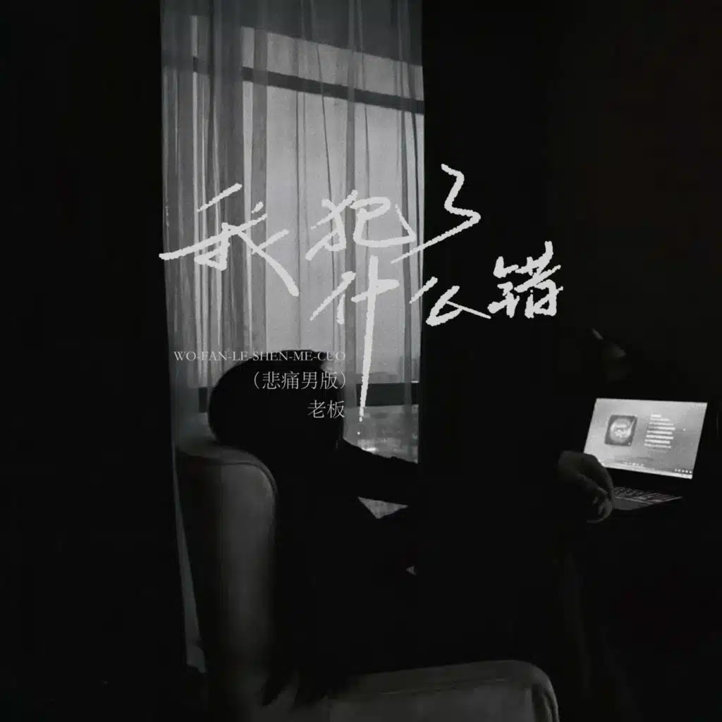 我犯了什么错（悲痛男版）-老板