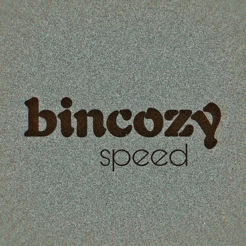 Bincozy