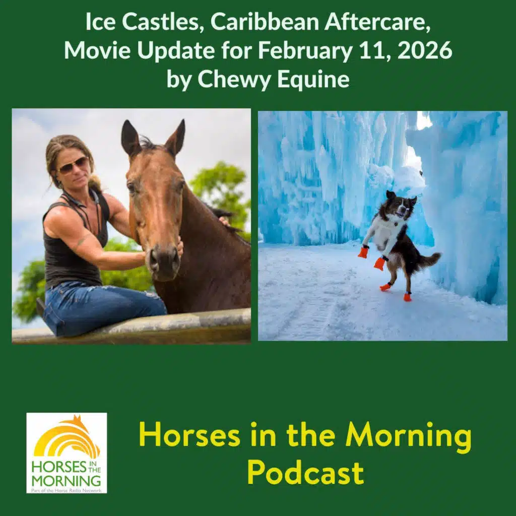 Ice Castles, Caribbean Aftercare, Movie Update for February 11, 2026 by Chewy Equine