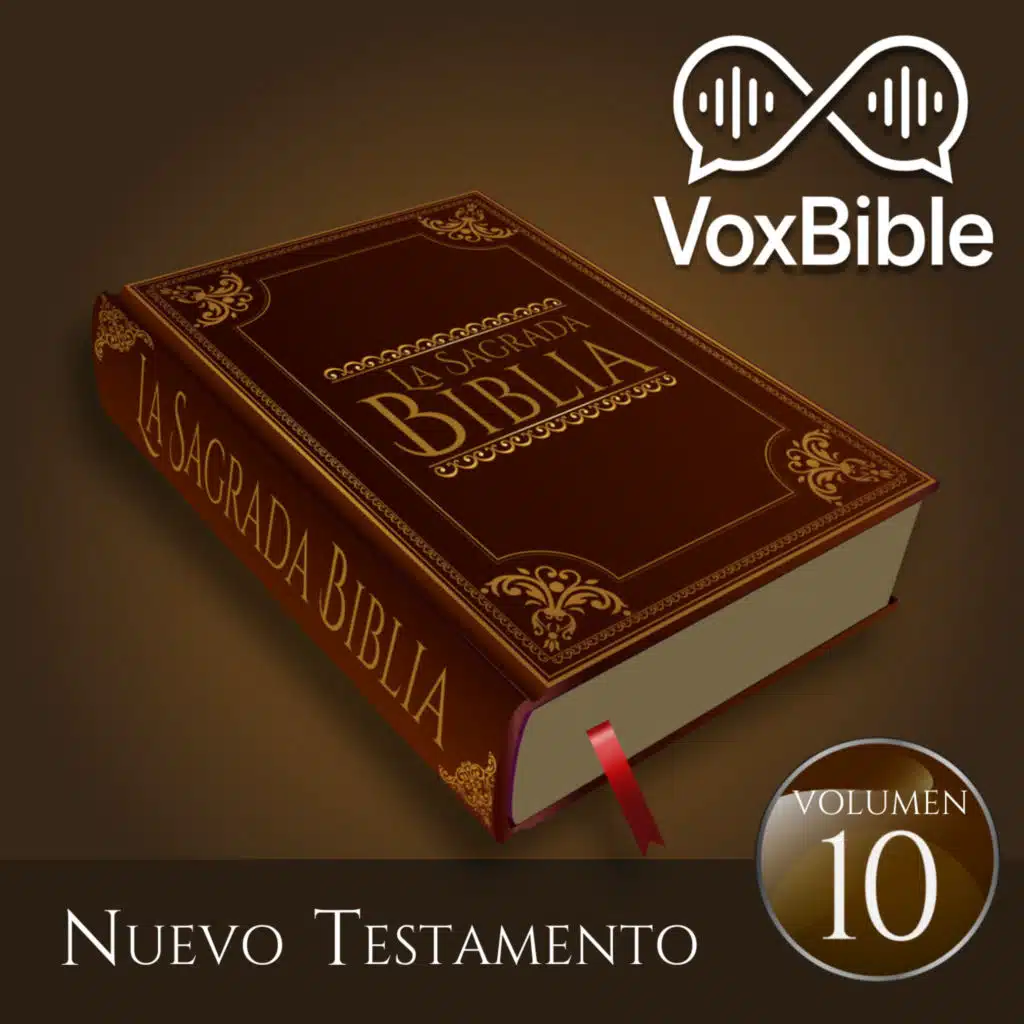 Los Apostoles Son Perseguidos (feat. Enrique Rocha)