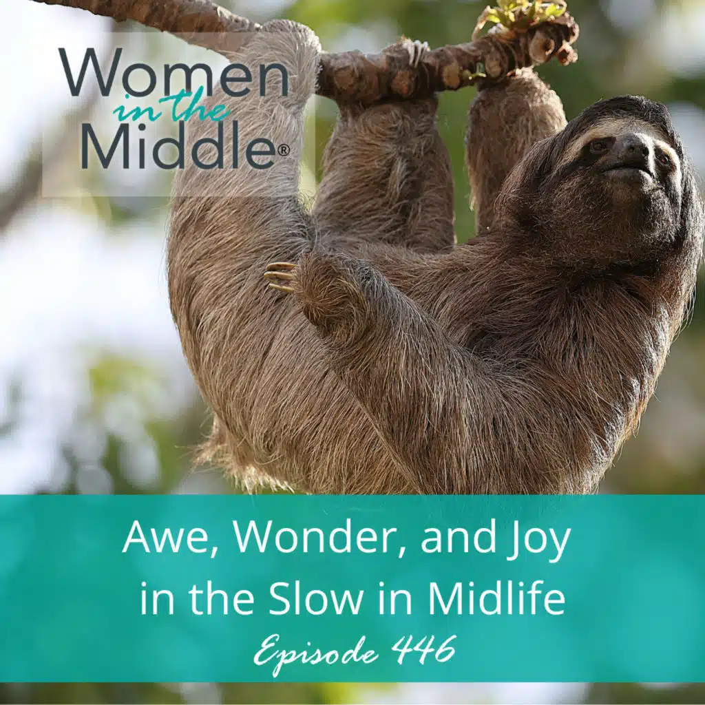 EP #446: Awe, Wonder and the Joy of Life in the Slow Lane in Midlife