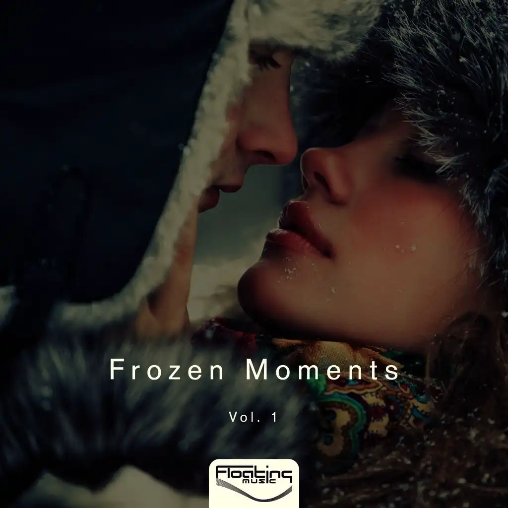 Frozen Moments, Vol. 1