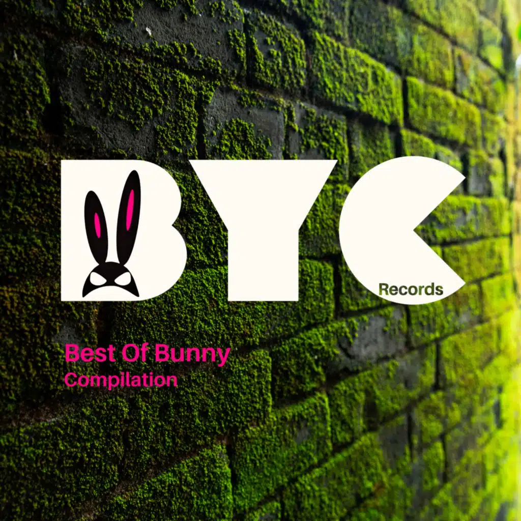 Best Of Bunny