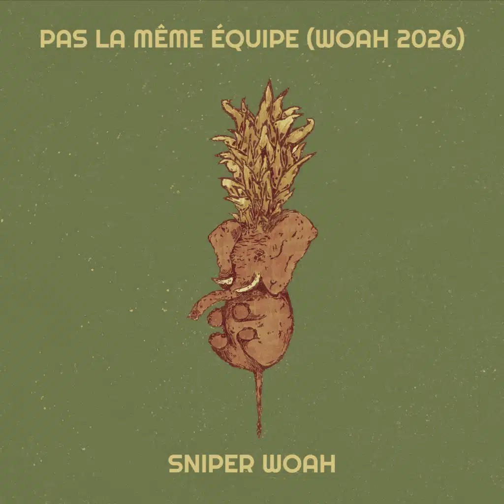 Pas la même équipe (woah 2026)