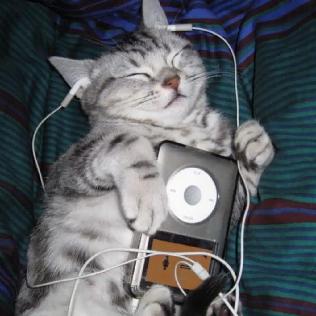 some self prod songs