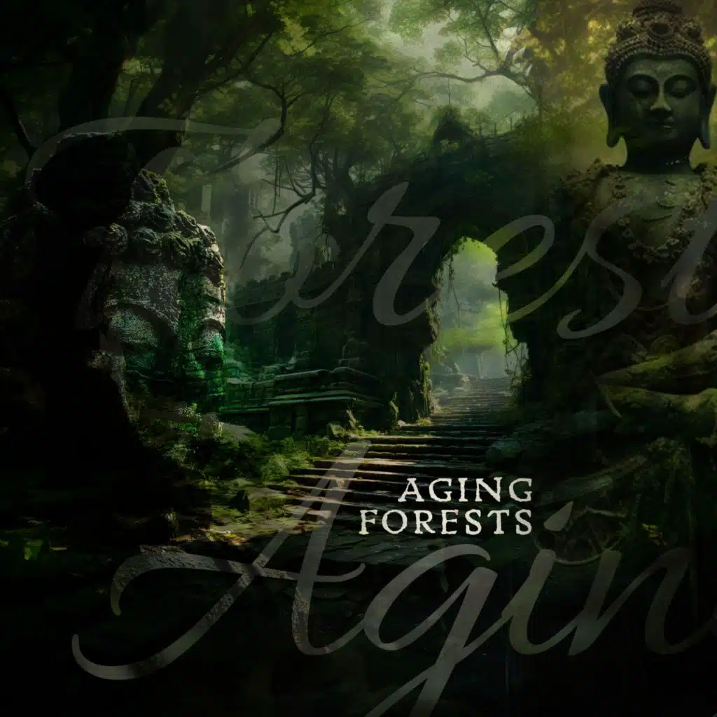 Aging Forests