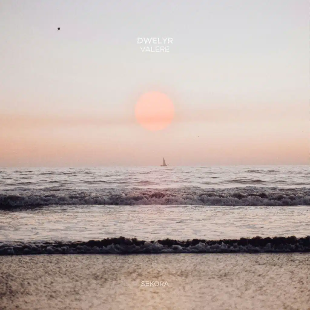 dwelyr