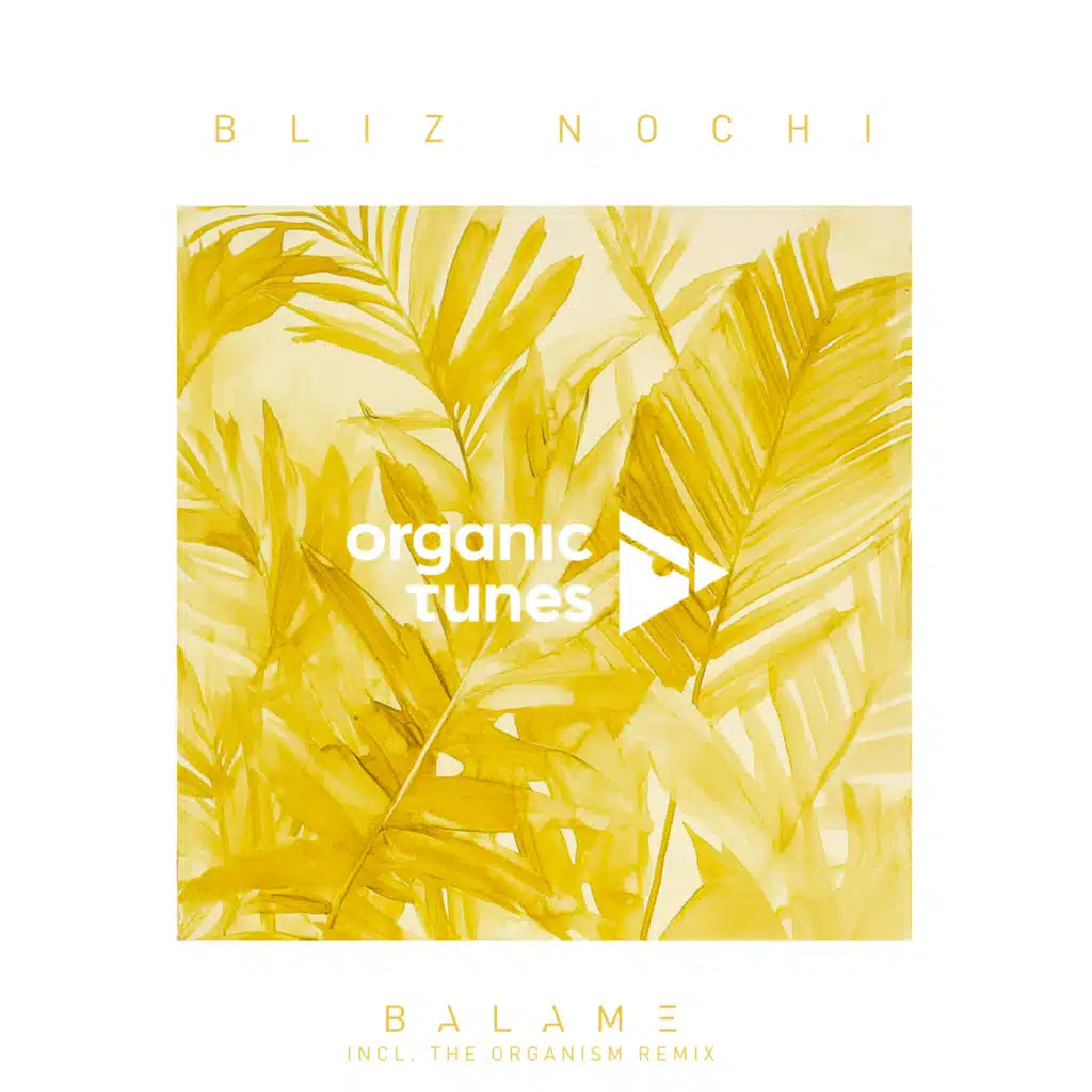 Bliz Nochi
