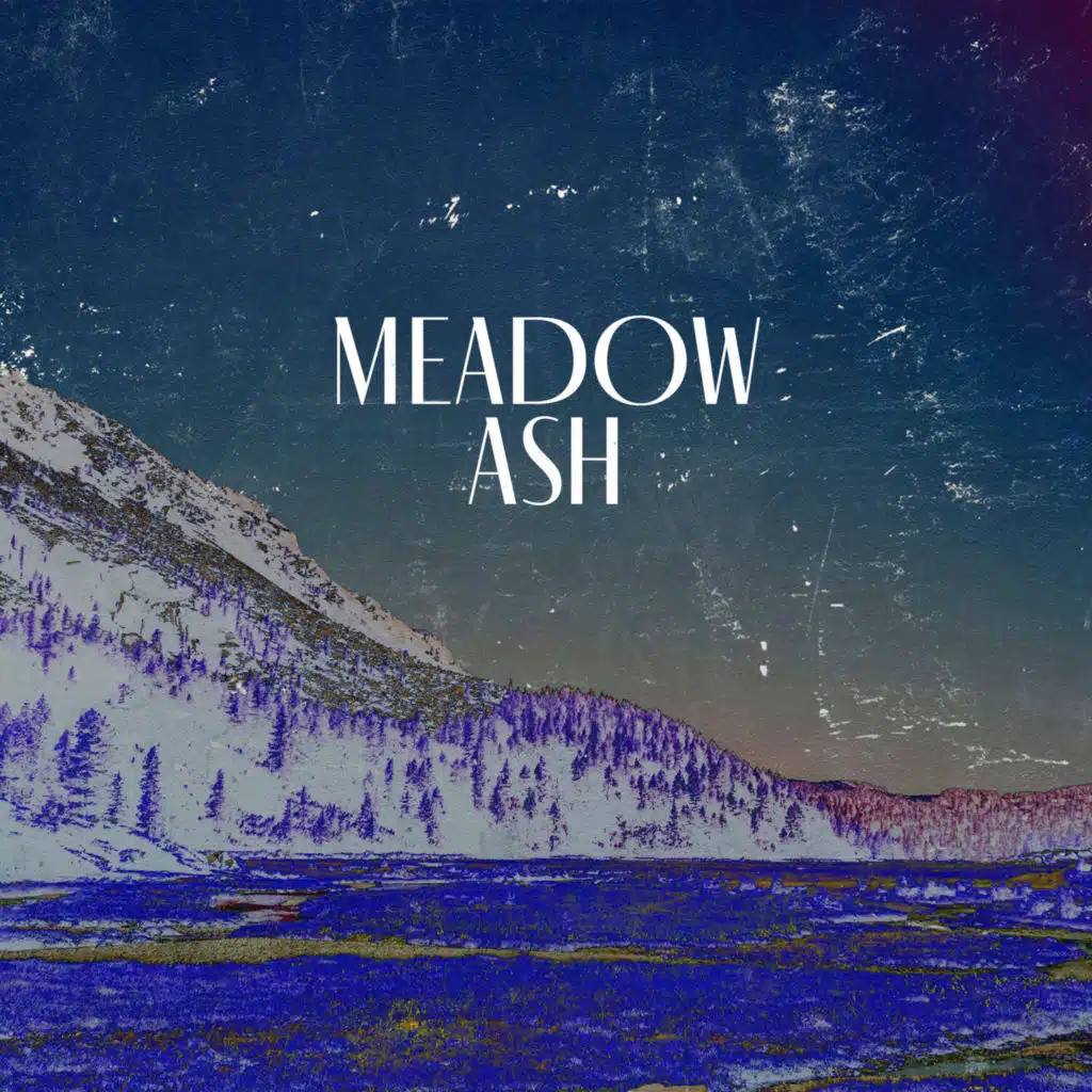 Meadow Ash