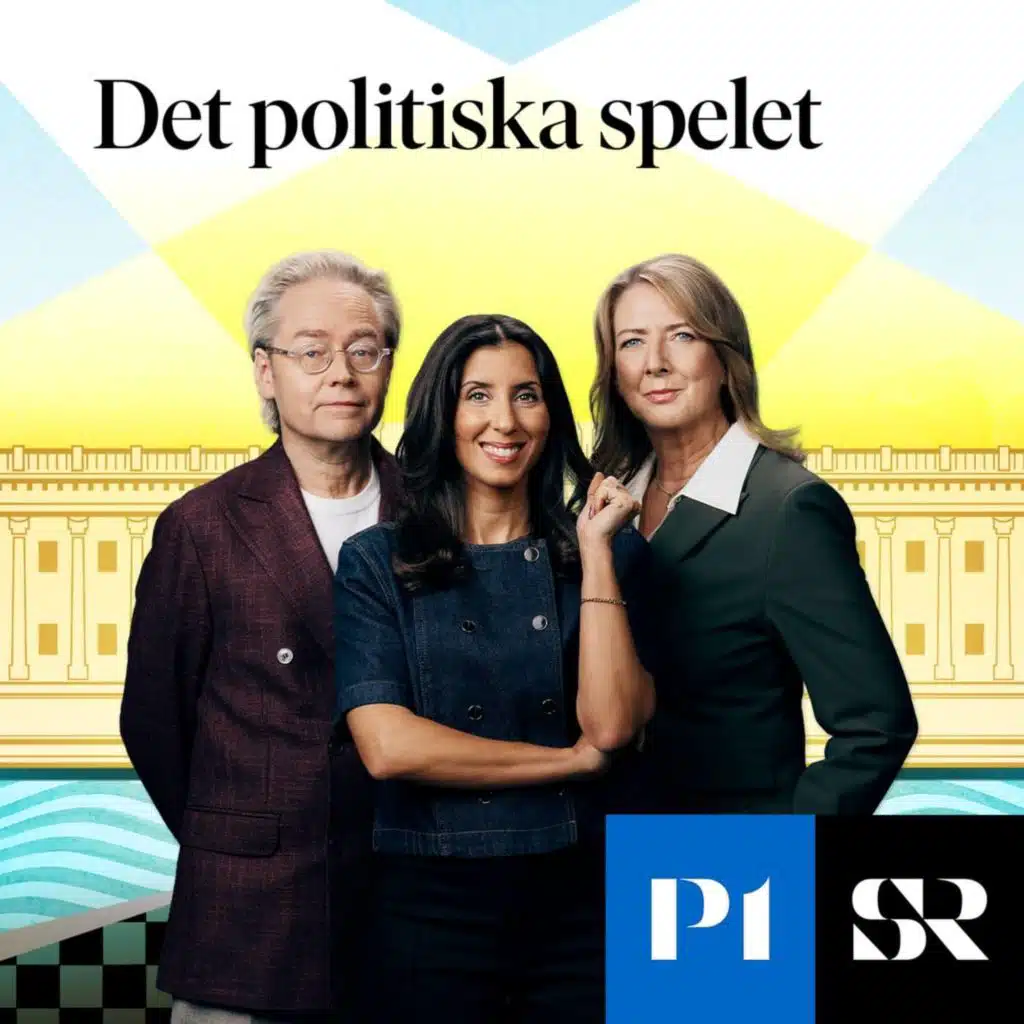Det politiska spelet