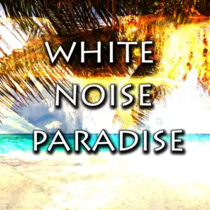 White Noise Paradise