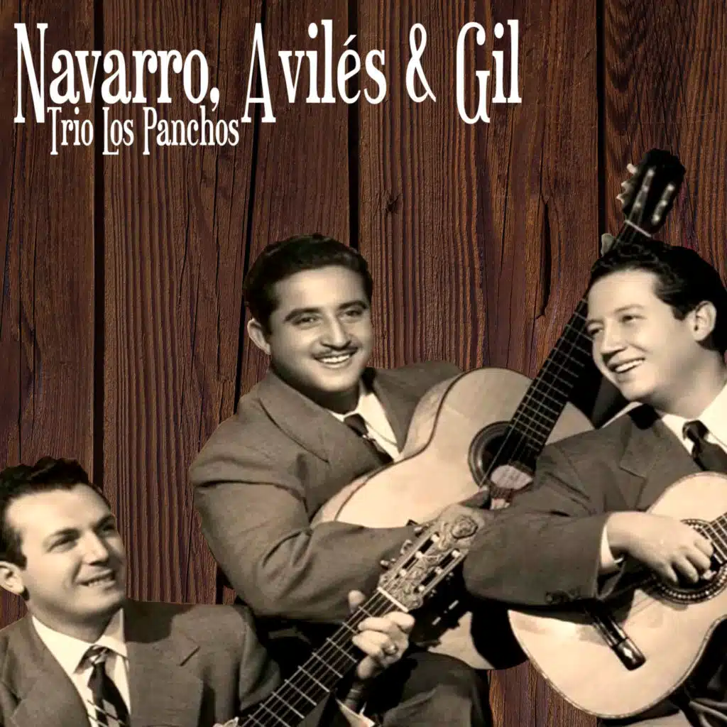 Navarro Avilés & Gil