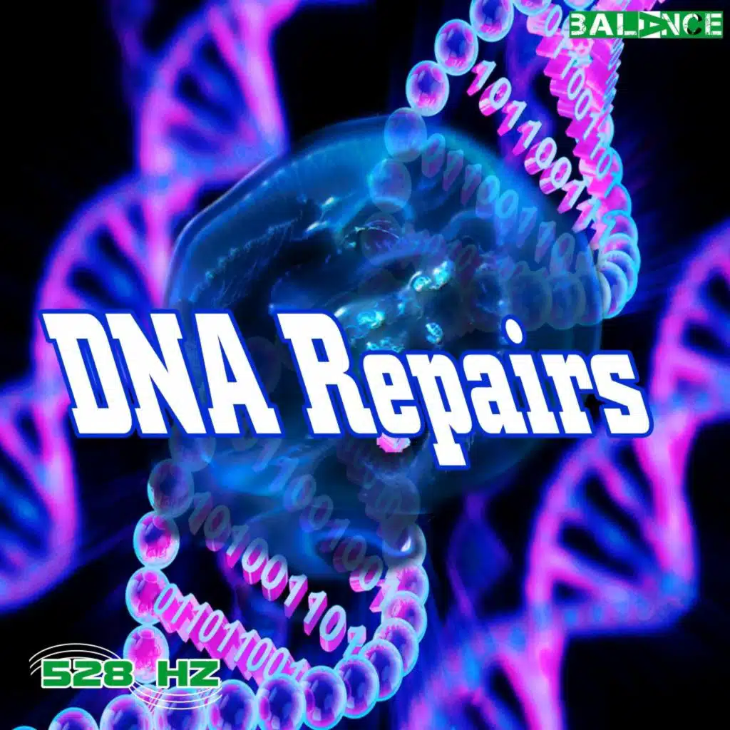 Repairs DNA