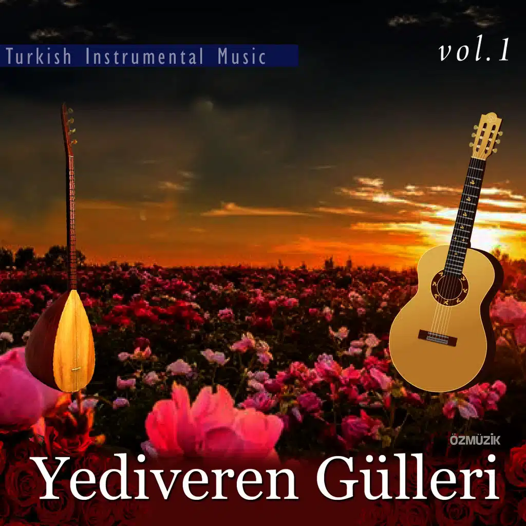Yediveren Gülleri, Vol. 1 (Turkish Instrumental Music)