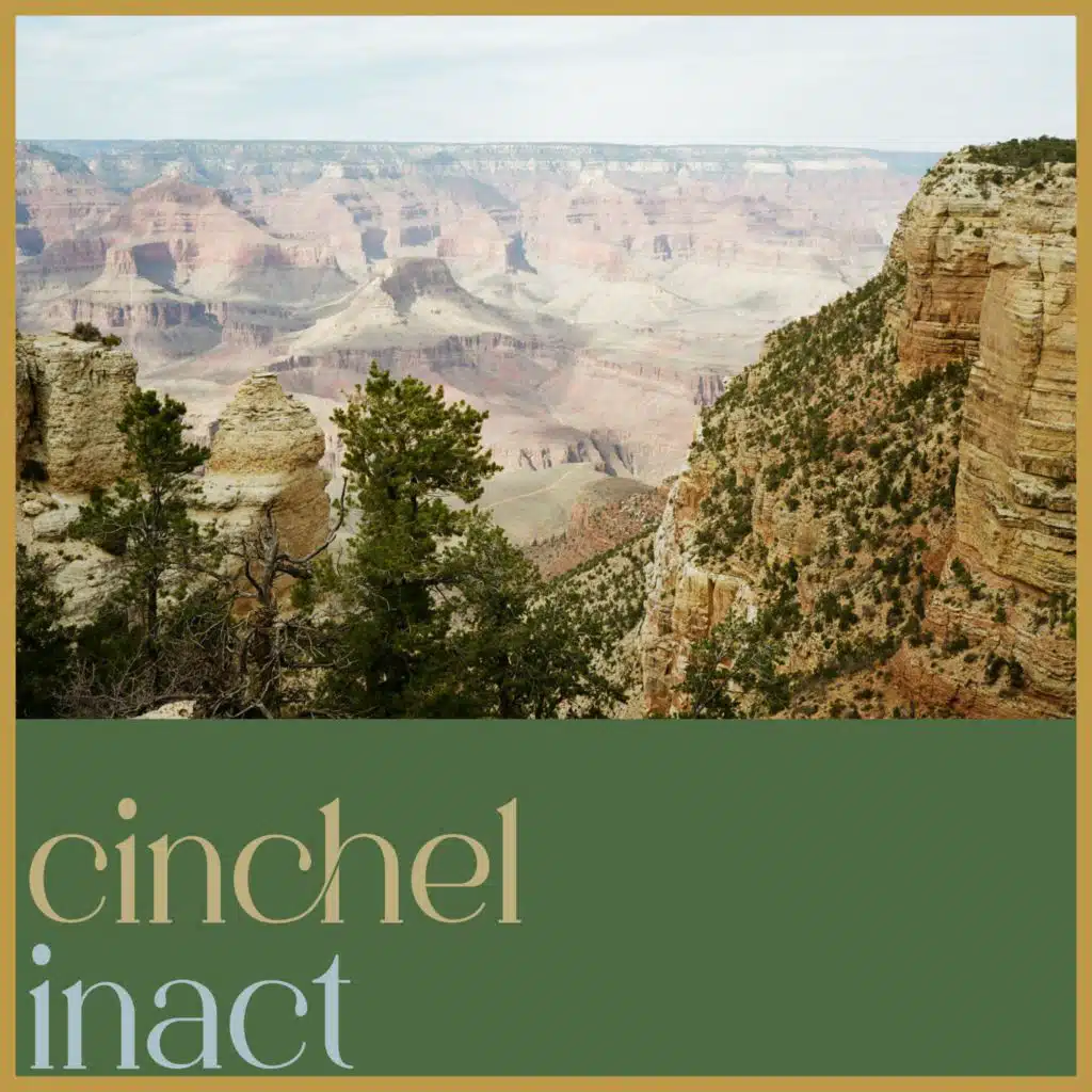 Cinchel