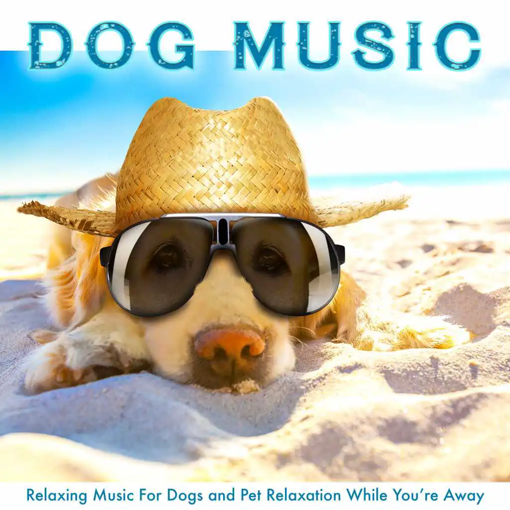 Dog Music: Relaxing Music For Dogs and Pet Relaxation While You’re Away