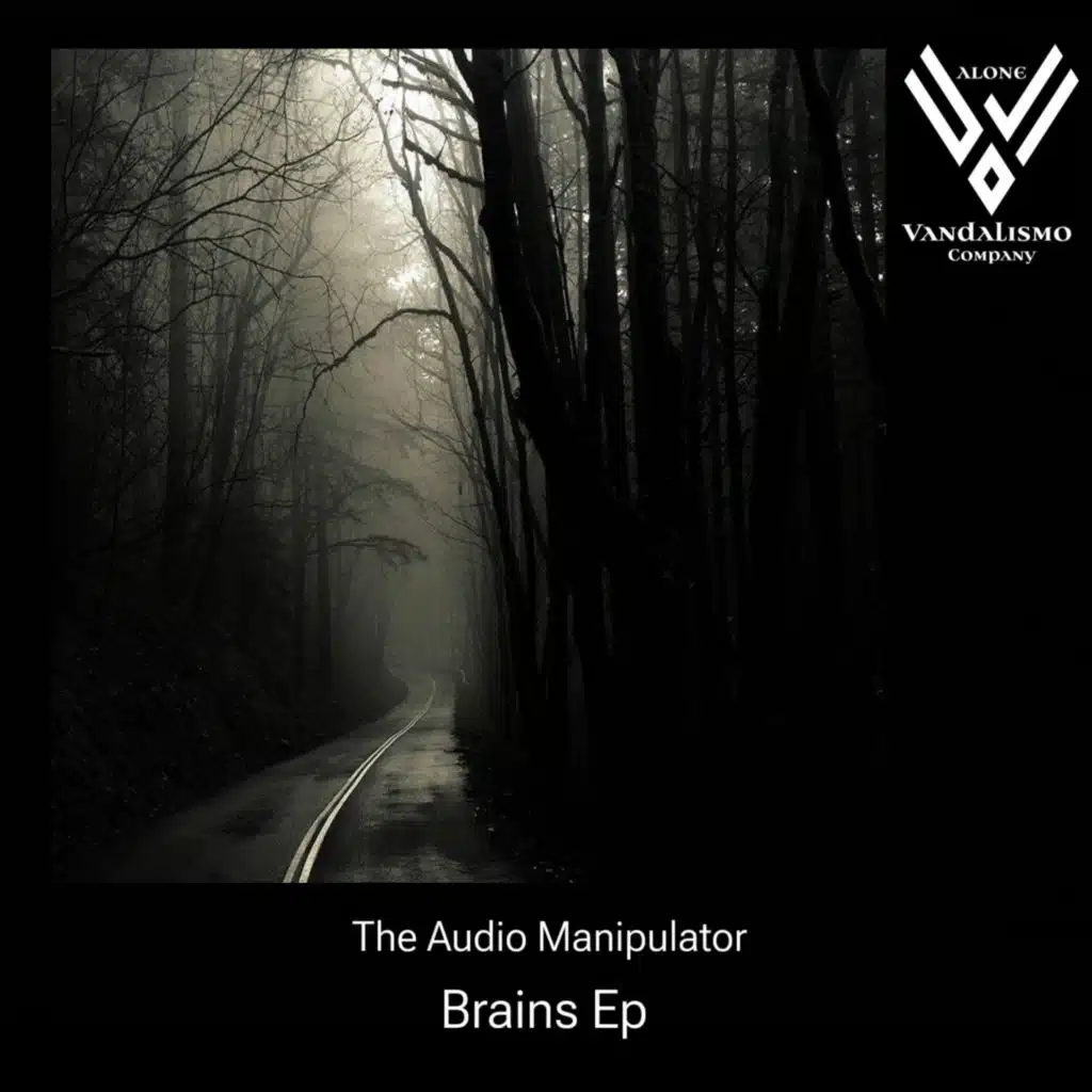 The Audio Manipulator