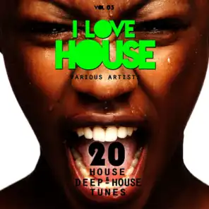 I Love House, Vol. 03 (20 House & Deep-House Tunes)