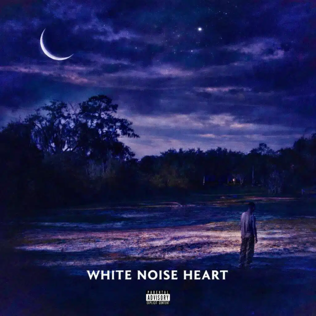 White Noise Heart
