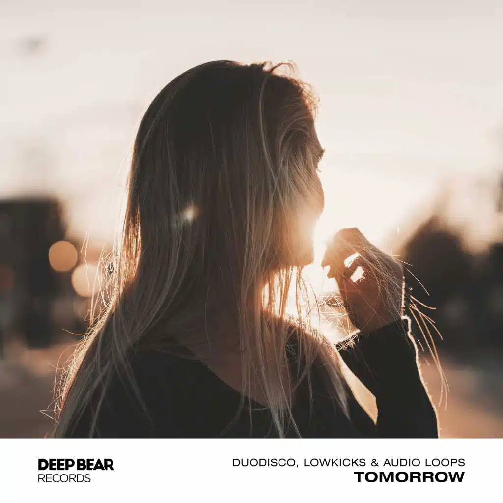 Duodisco, Lowkicks, Audio Loops