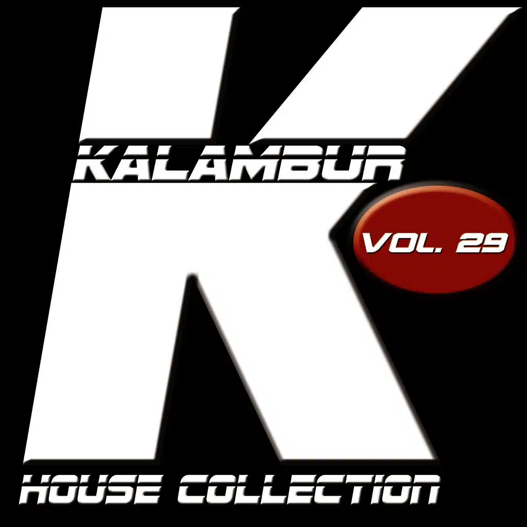 Kalambur House Collection, Vol. 29