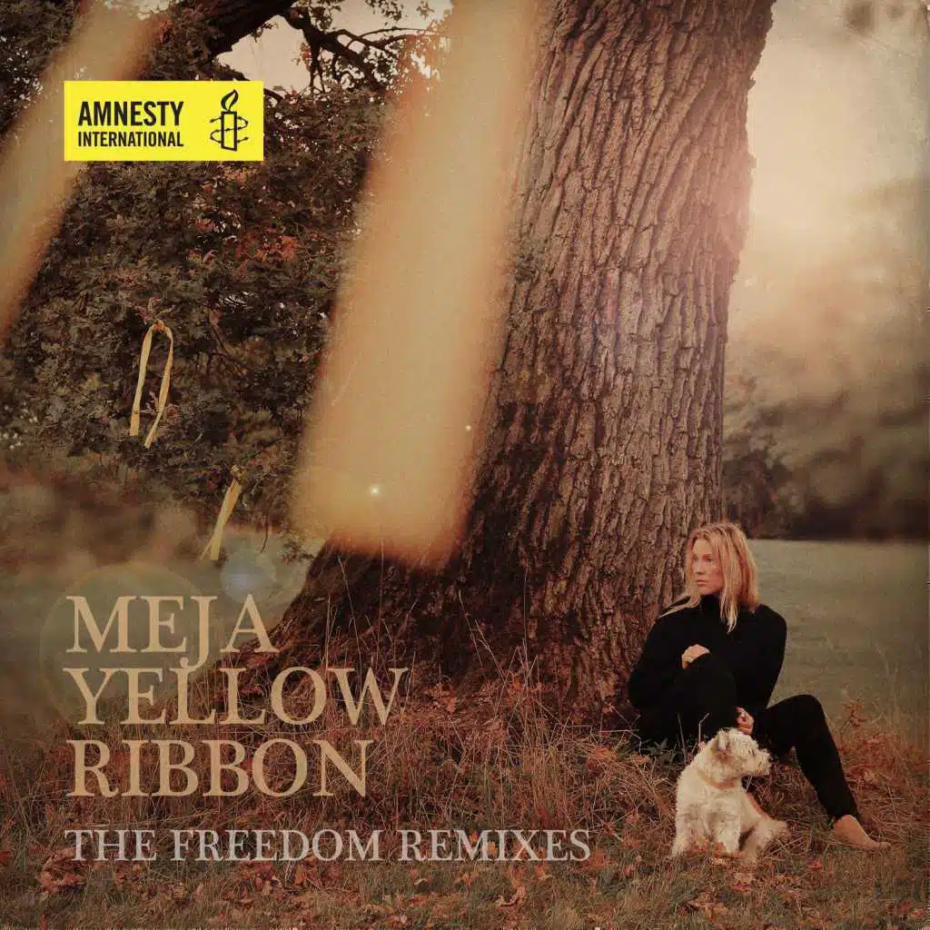 Yellow Ribbon (Deep Forest Analog Remix)