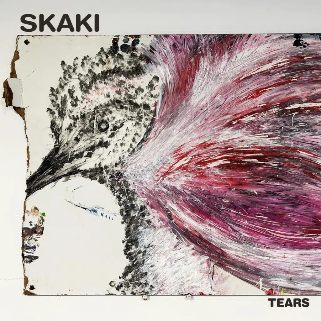 Skaki