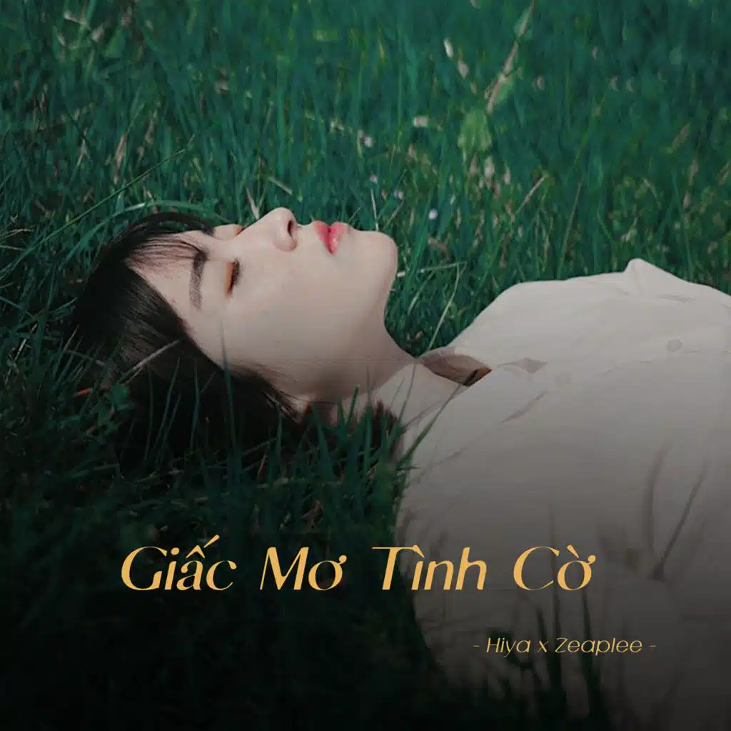 Giấc Mơ Tình Cờ (Lofi) [feat. 1 9 6 7]