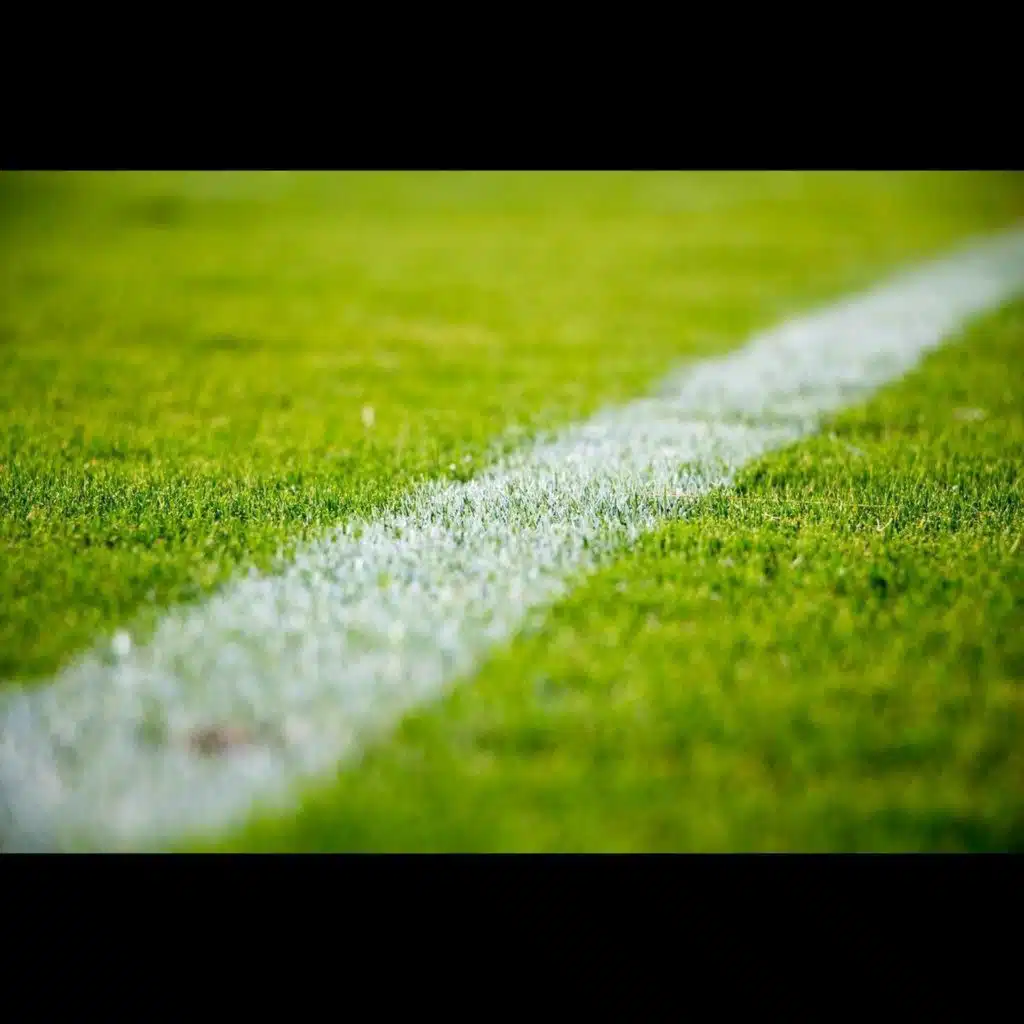 This Weekend's Sport